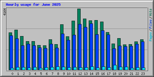 Hourly usage for June 2025
