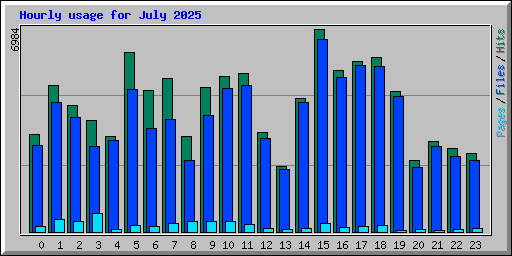 Hourly usage for July 2025