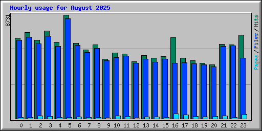 Hourly usage for August 2025