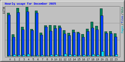 Hourly usage for December 2025