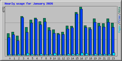 Hourly usage for January 2026